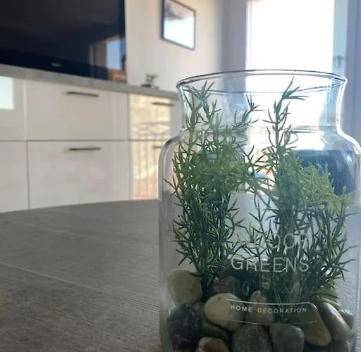 En Plein Coeur Du Centre 公寓 莱萨布勒-多洛讷