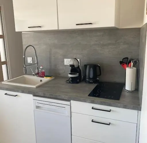 En Plein Coeur Du Centre 公寓 *